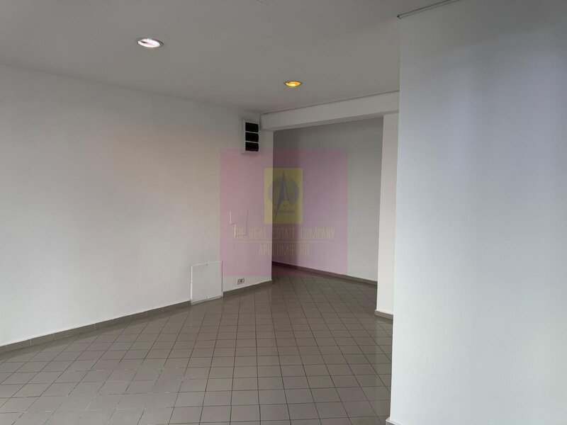 Headquarters Opportunity | Cladire Corporate 560+ mp | Theodor Pallady