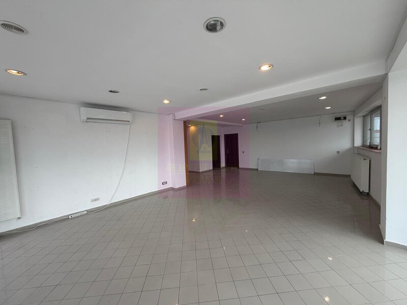 Headquarters Opportunity | Cladire Corporate 560+ mp | Theodor Pallady