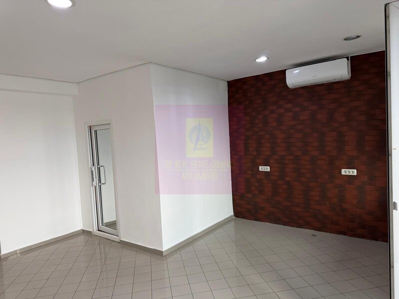 Headquarters Opportunity | Cladire Corporate 560+ mp | Theodor Pallady