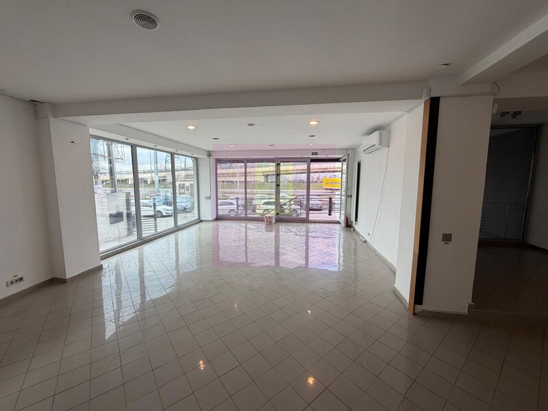 Headquarters Opportunity | Cladire Corporate 560+ mp | Theodor Pallady